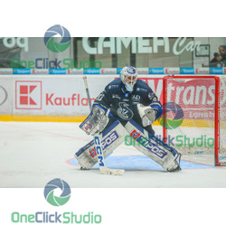 adam vay (8)