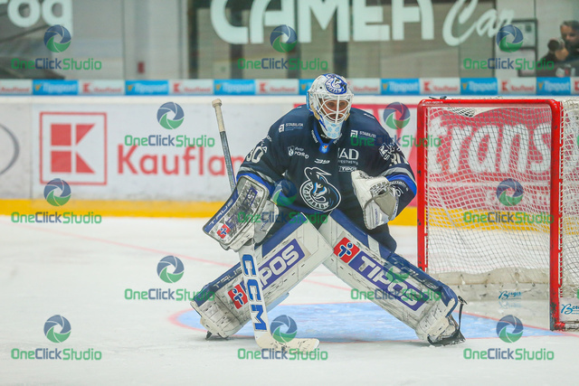 adam vay (8)