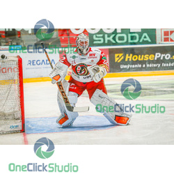 jaroslav janus (7)