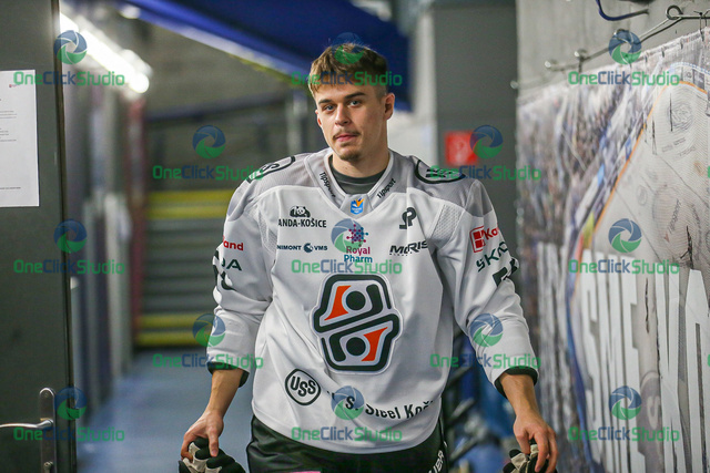 antonín bartoš
