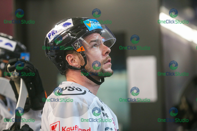 patrik rogoň
