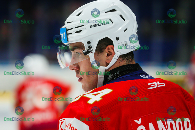 peter šandor (4)