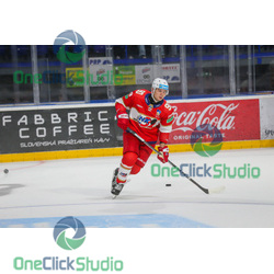timur ibragimov (2)