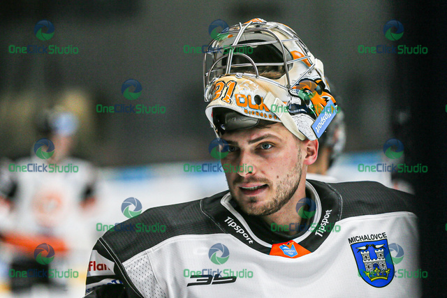 dávid borák