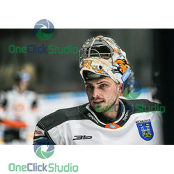 dávid borák