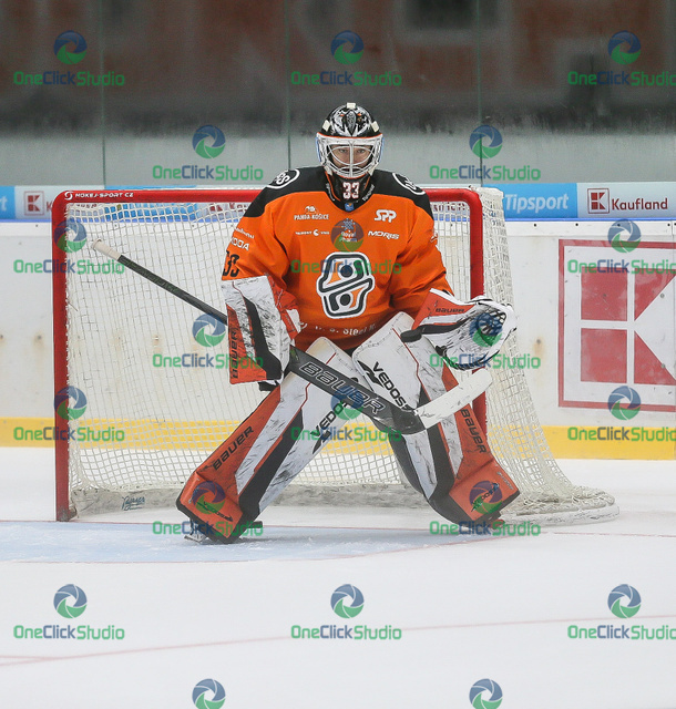dominik riečický