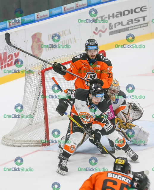 krivošík lichanec (2)