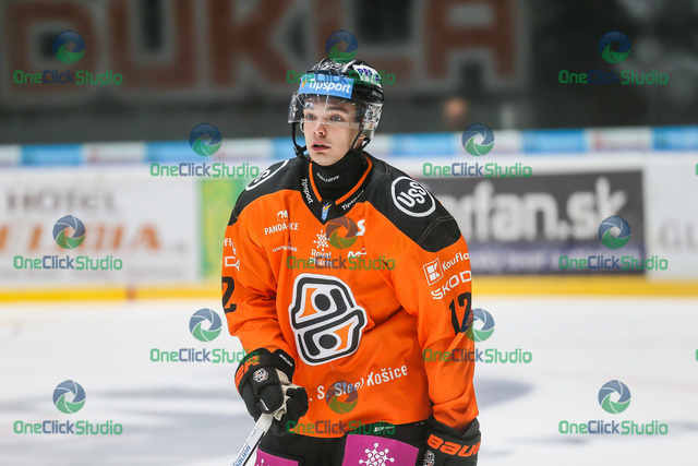 oleksandr plochotnik