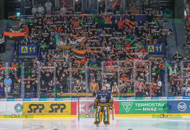 denis godla (4)