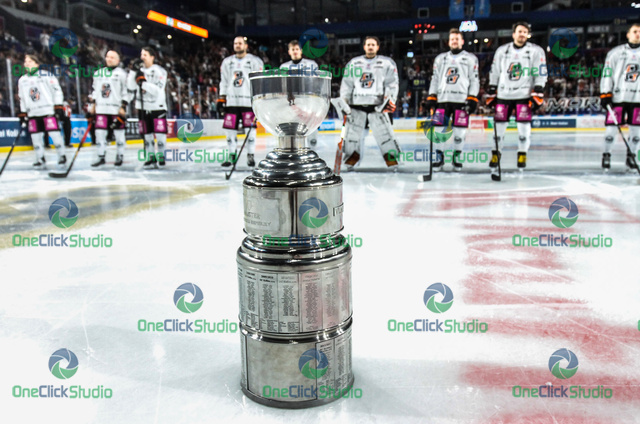 majstrovská trofej vladimíra dzurillu