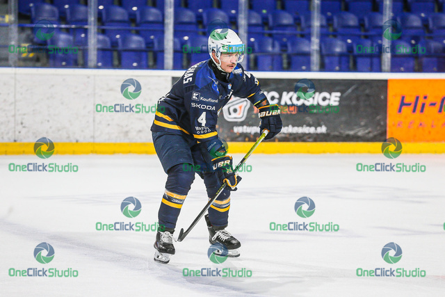 nerijus ališauskas