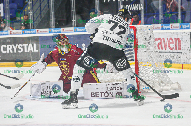 krivošík junca (2)