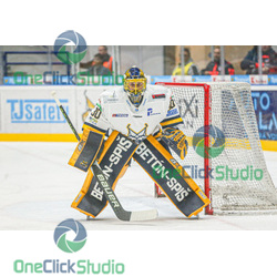 denis godla (3)