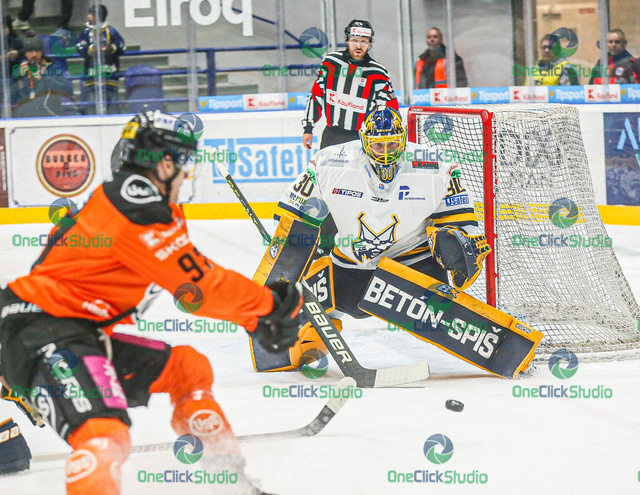 denis godla (4)