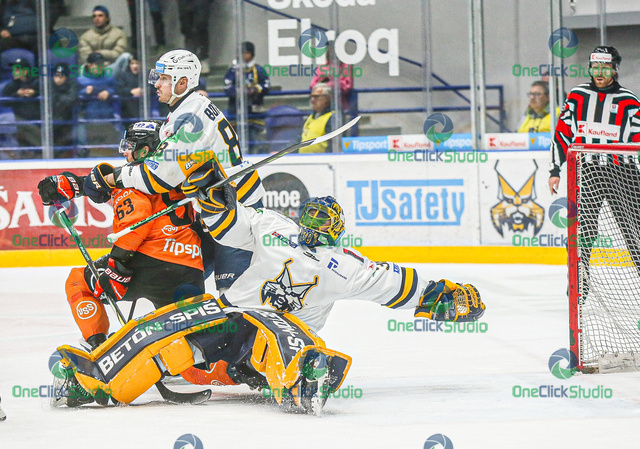 denis godla (5)