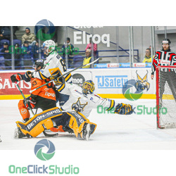 denis godla (5)