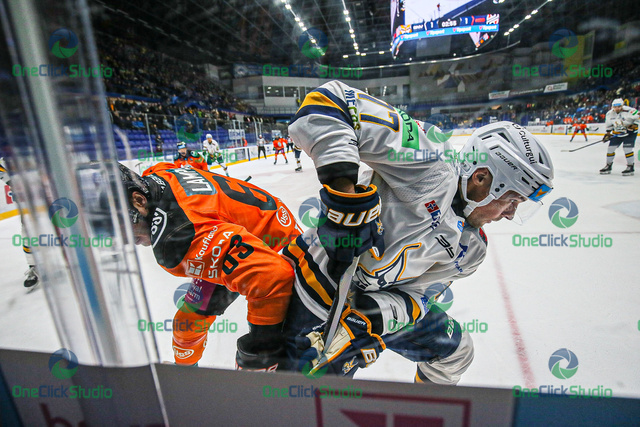 zajac lamper (2)