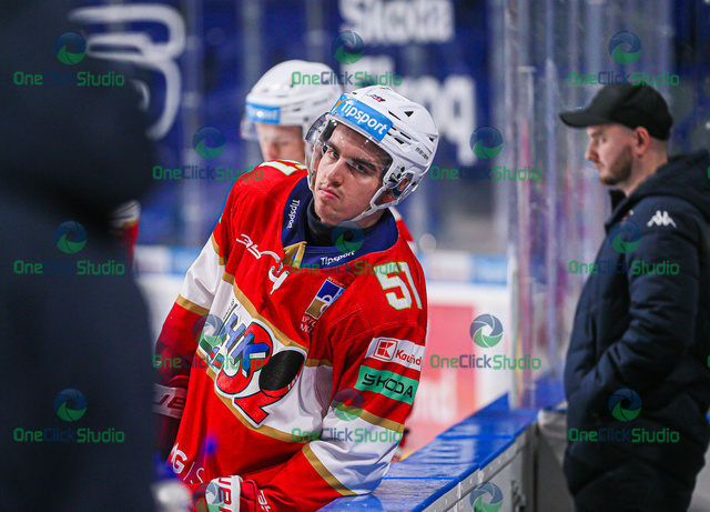 max ferkodič