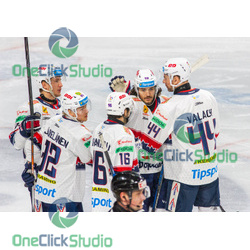 cole cassels po gole