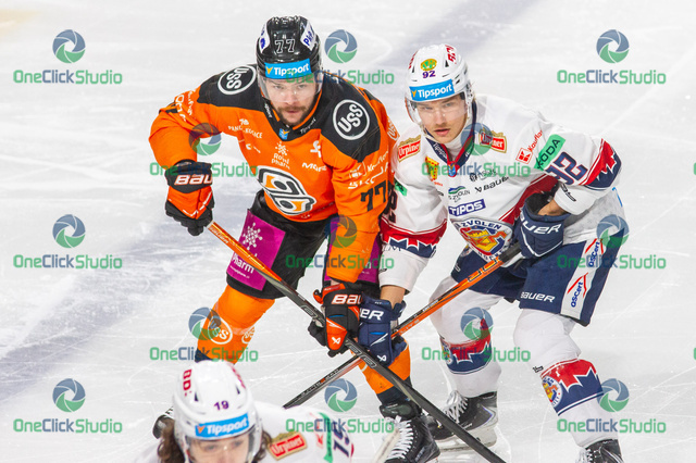 rogoň - jääskelainen
