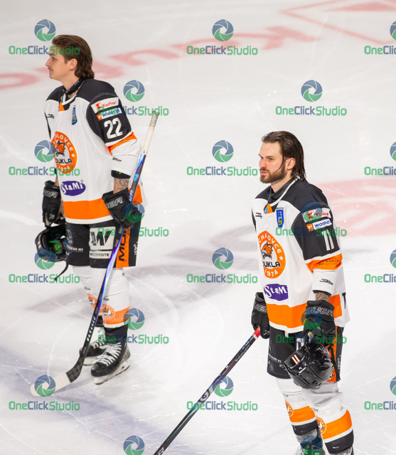 virtanen roy