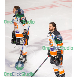 virtanen roy