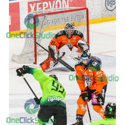 dominik riečický