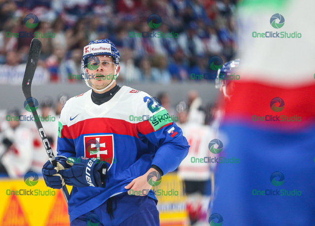 adam liška