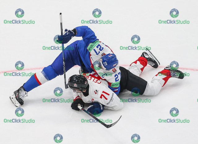 hrivík celebrini (2)
