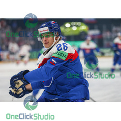 luka radivojevič (2)
