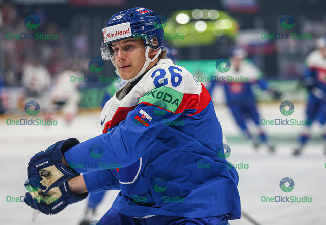 luka radivojevič (2)