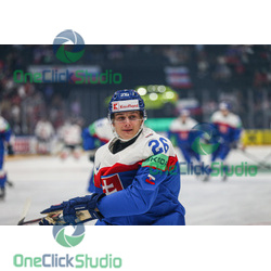 luka radivojevič (3)