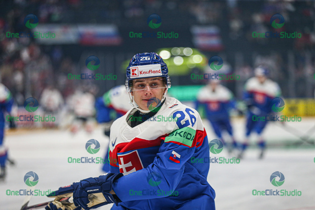 luka radivojevič (3)