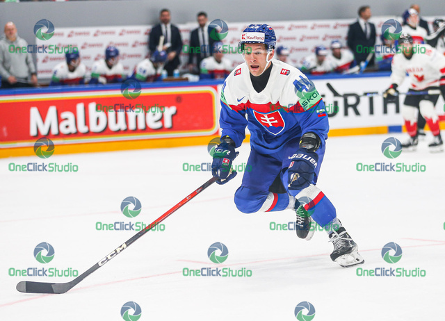 mislav rosandič (2)