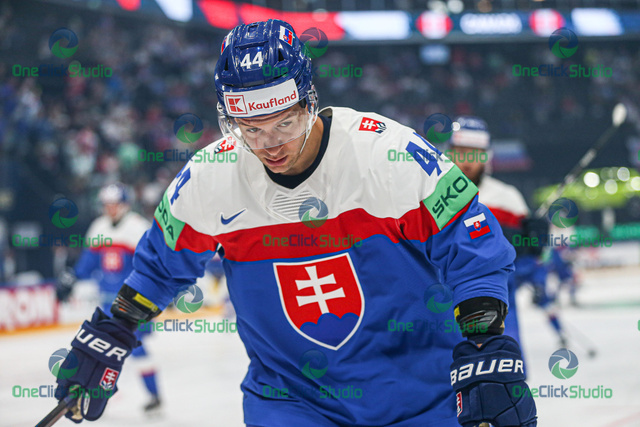 mislav rosandič (3)