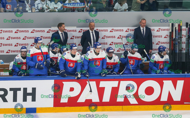 országh pardavý