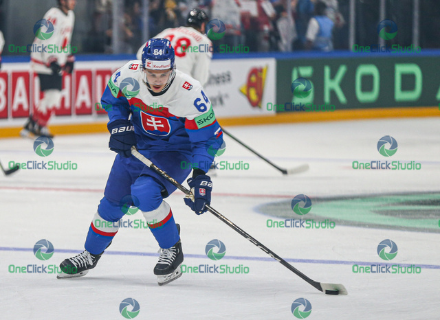 patrik koch