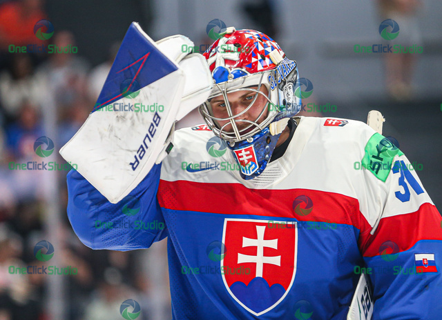 samuel hlavaj (2)