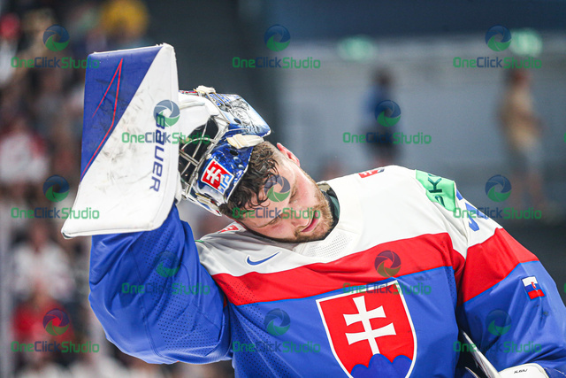samuel hlavaj (3)