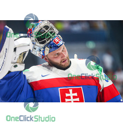 samuel hlavaj (4)