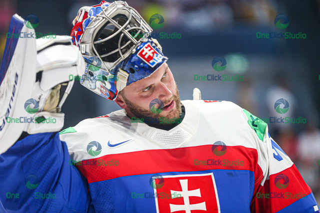 samuel hlavaj (4)