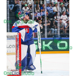 samuel hlavaj (6)
