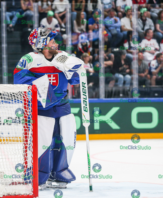 samuel hlavaj (6)