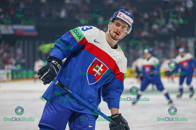 servác petrovský (2)