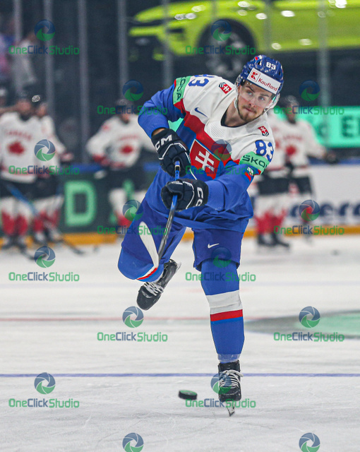 servác petrovský (3)