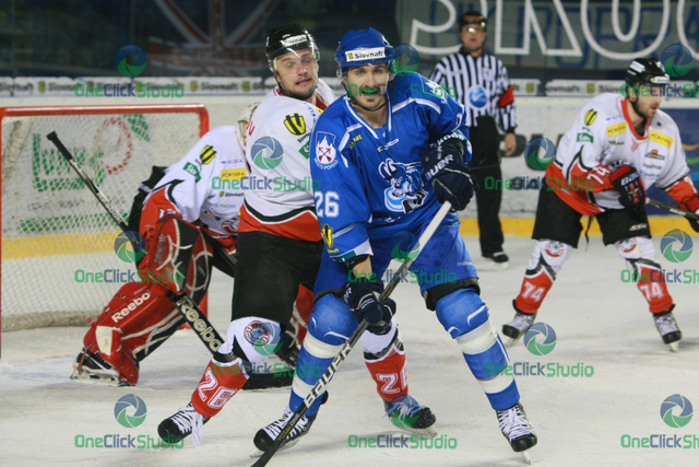 wanvig palov