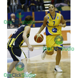 cohen