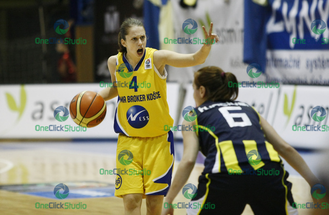 mincikova