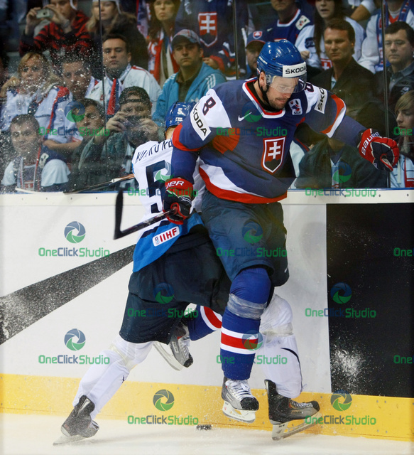 cibak kukkonen