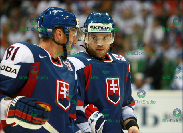 hossa gaborik